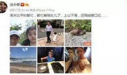 娱乐圈爆料扔孩子,惊曝明星扔孩子事件，真相令人震惊！