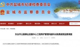 盐城今日爆料最新消息视频,视频揭露惊人真相，详情敬请关注